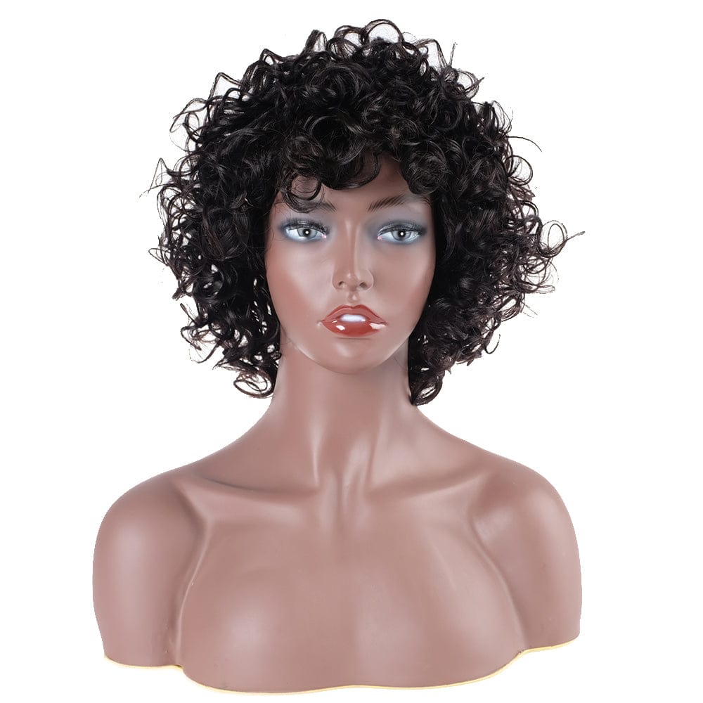 10 inch Non Lace Front Human Hair Wigs For Black Women Top Selling Short Human Hair Wig Brazilian Afro Kinky Curly Bob Wigs