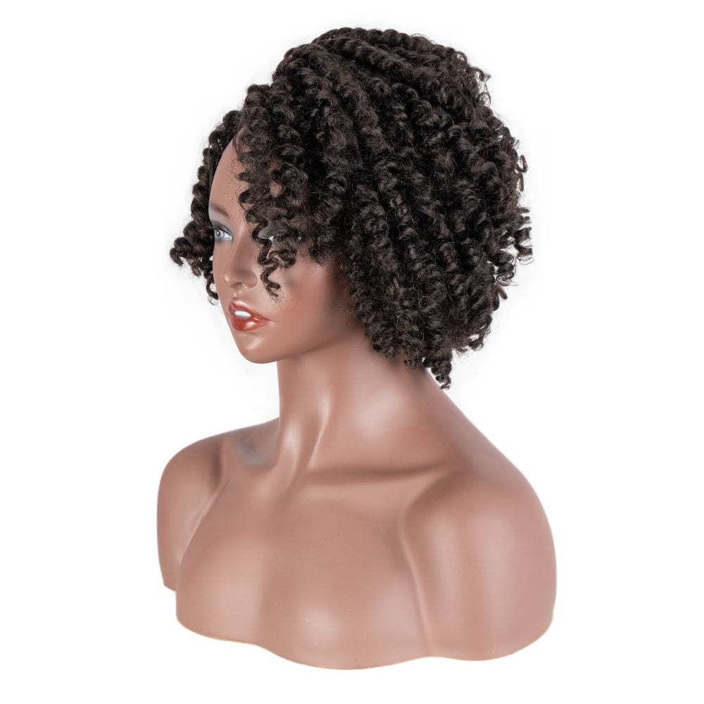 Afro curl synthetic wig Sleek quality wholesale cheap hot selling heat resistant afro curl Lace side part wig Synthetic hair wig