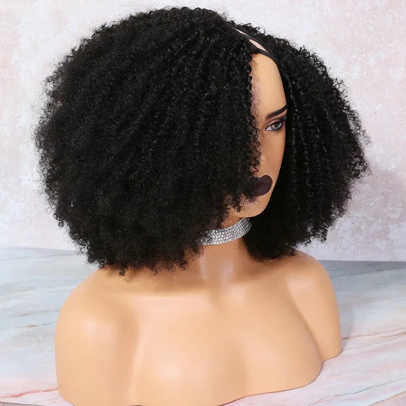 Brazilian Afro Kinky Curly Wig 13x4