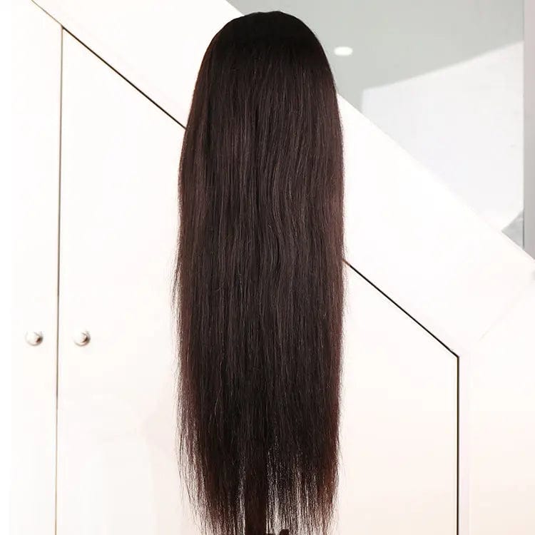 Brazilian Hair Virgin Human Hair Lace Wig