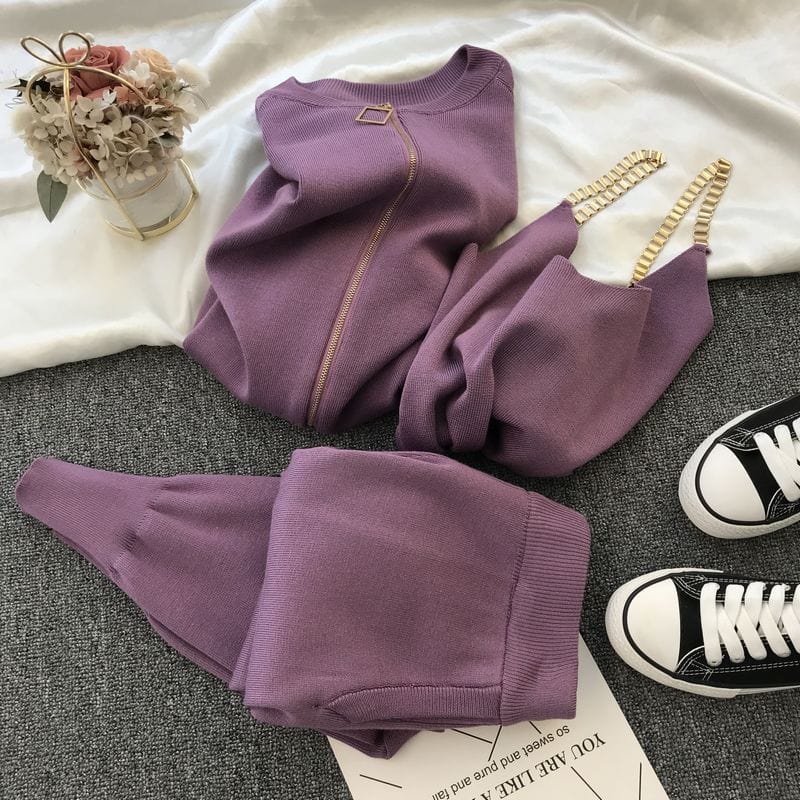 Free / Purple 10% off Women Zipper Knitted Cardigans Sweaters + Pants Sets + Vest Woman Fashion Jumpers Trousers 3PCS Costumes Outfit