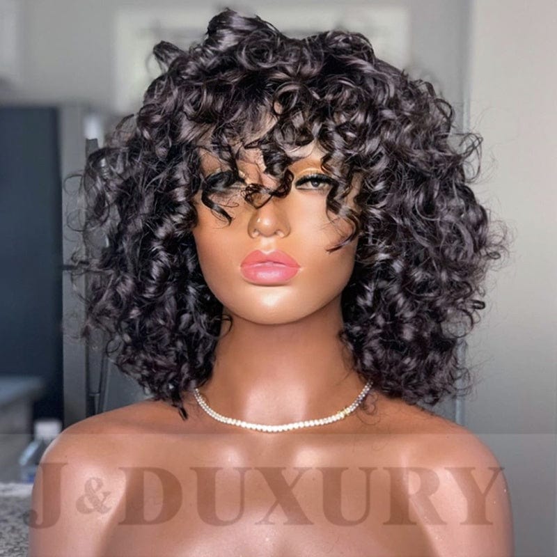 High Quality 100% Human Hair HD Lace Front Wig curly virgin hair wigs for black women hd lace frontal wig vendor