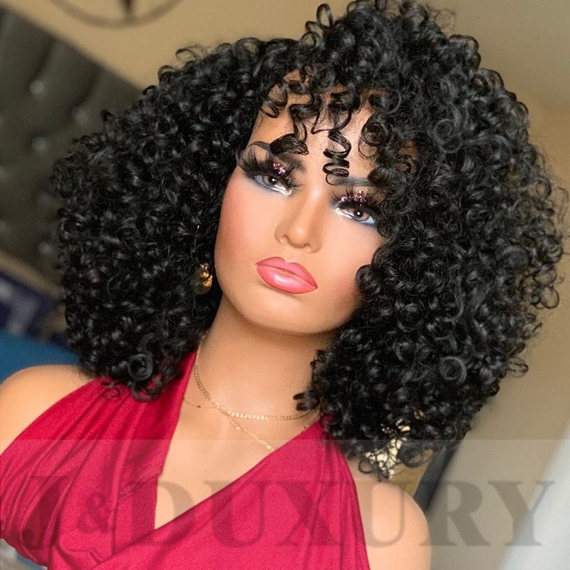 High Quality 10A human Wigs Human Hair Lace Front wig HD lace wig Brazilian kinky Curly hair for black women