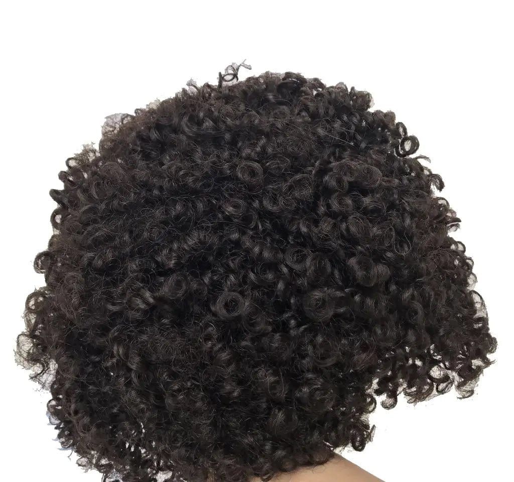 Human Hair Wig Brazilian Afro Kinky Curly