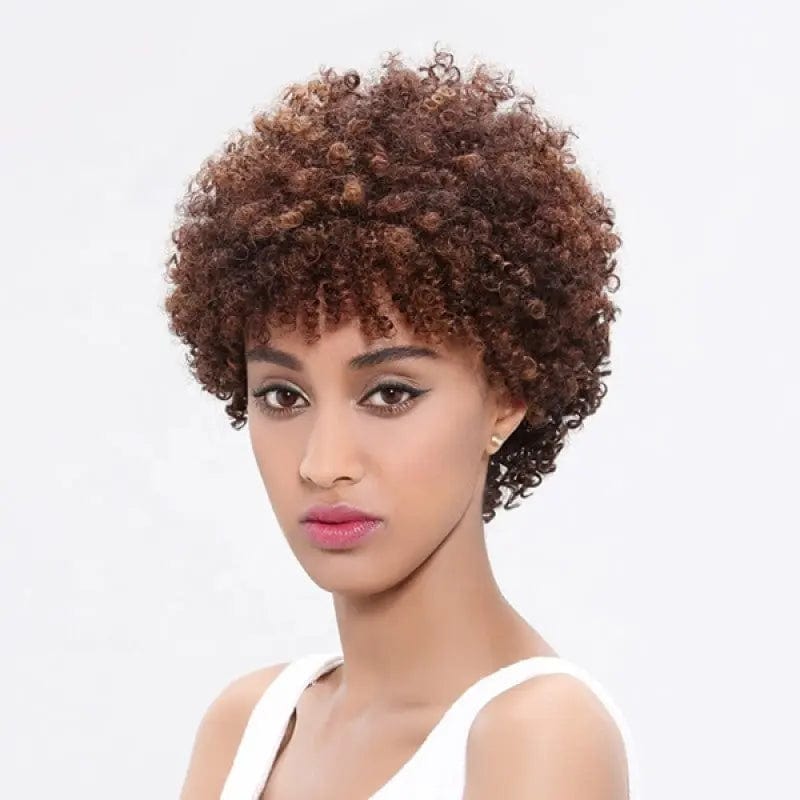 Human Hair Wig Brazilian Afro Kinky Curly