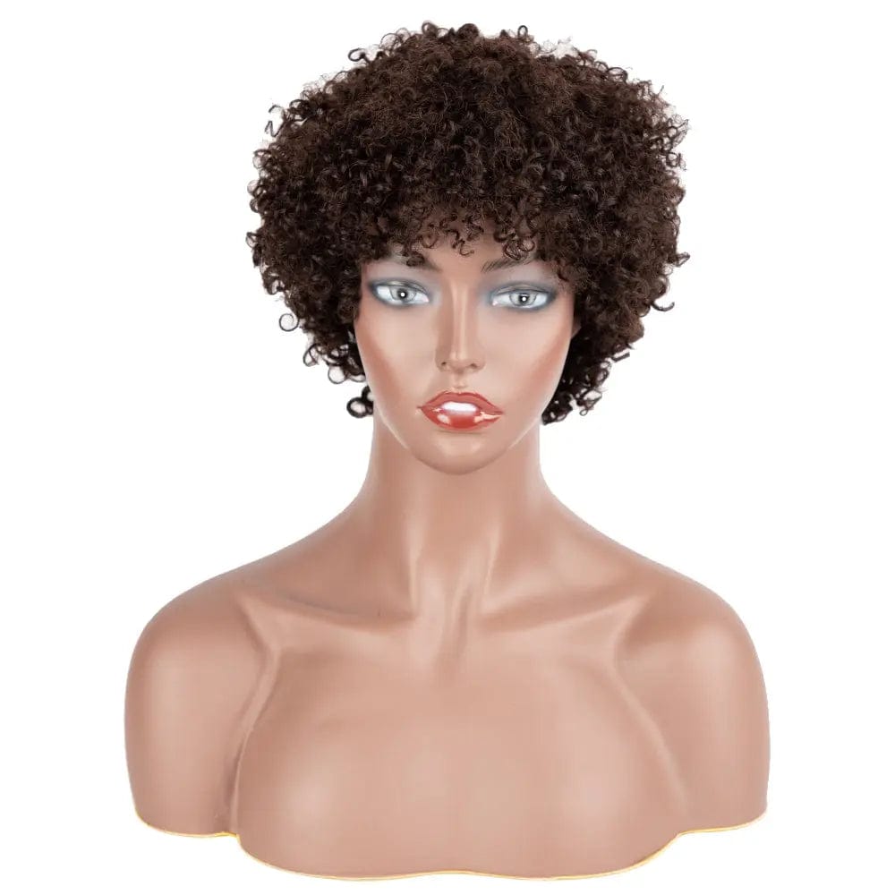 Human Hair Wig Brazilian Afro Kinky Curly