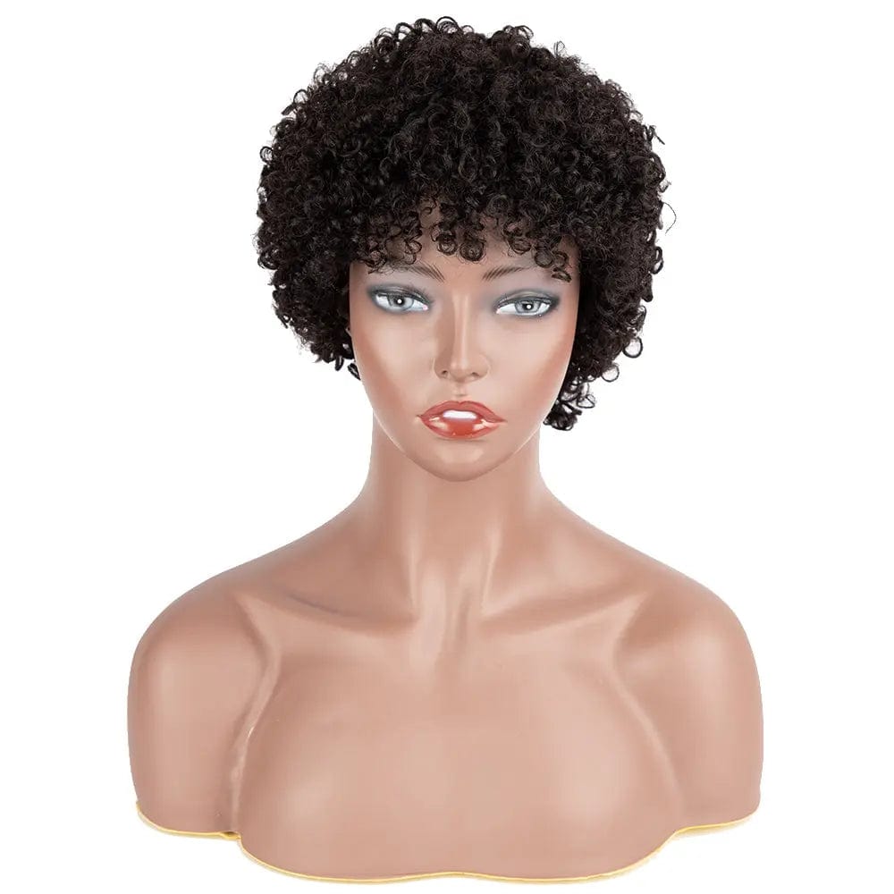 Human Hair Wig Brazilian Afro Kinky Curly