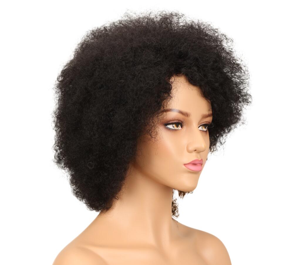 sleek Wholesale quality Natural pixie cut Brazilian Remy Hair Short Afro Curl Cuticle Aligned Hair Wig Human Hair Wigs For Women