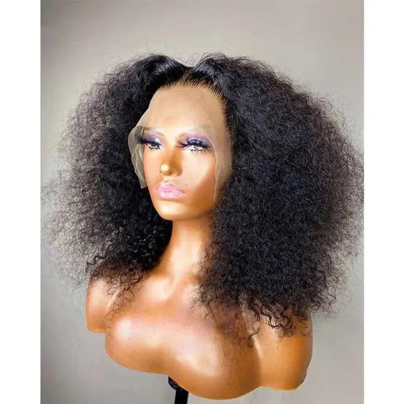 Wholesale Afro Curly Wigs Natural Black Kinky Curly Brazilian Human Hair 13*4 Lace Front Wigs for Black Women