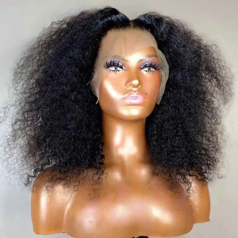 Wholesale Afro Curly Wigs Natural Black Kinky Curly Brazilian Human Hair 13*4 Lace Front Wigs for Black Women